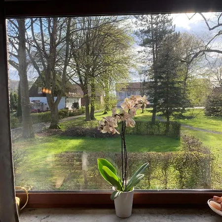 Parkblick *